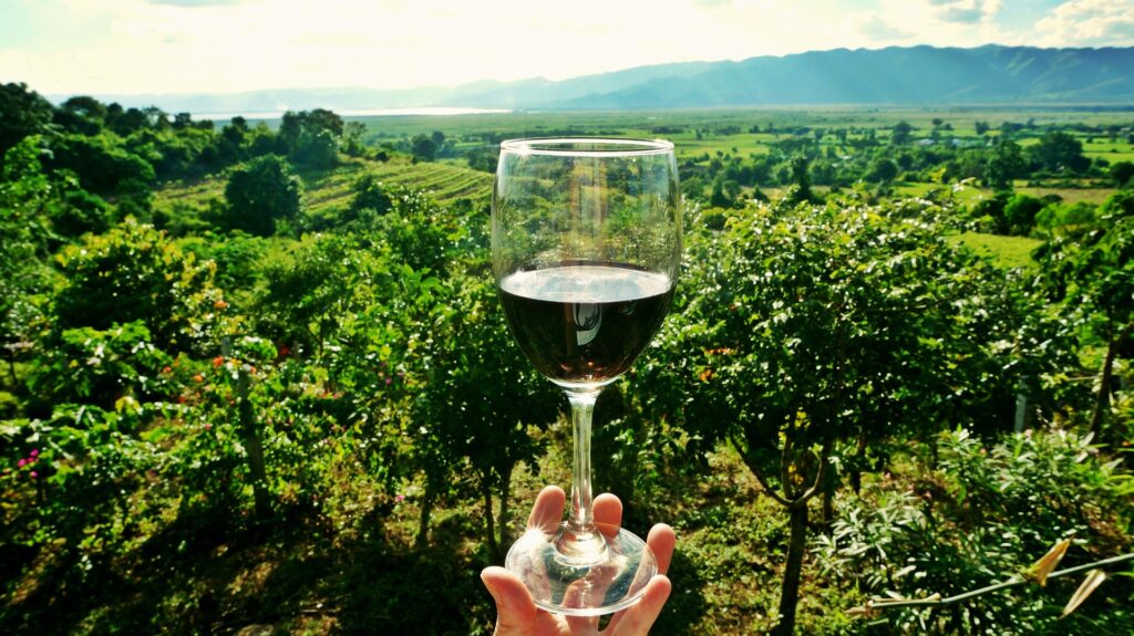 degustare vino
