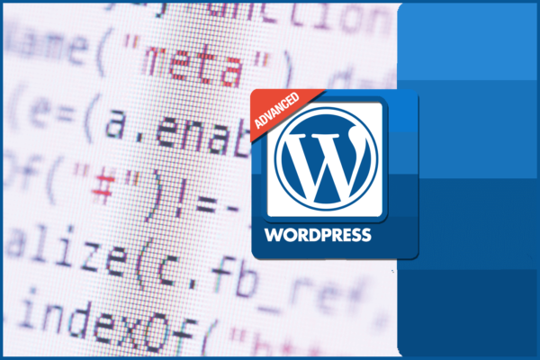 Corso Wordpress Avanzato a Firenze Mummu Academy