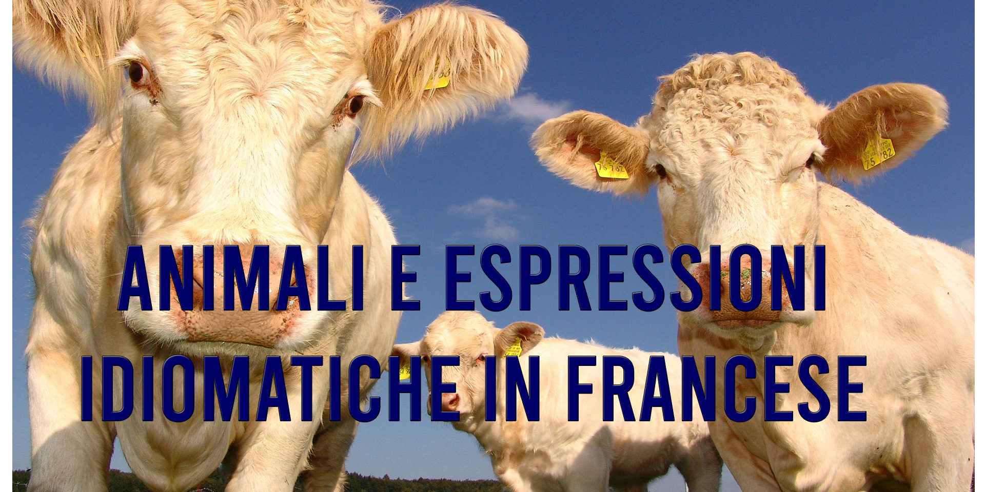 espressioni idiomatiche in francese