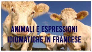 espressioni idiomatiche in francese