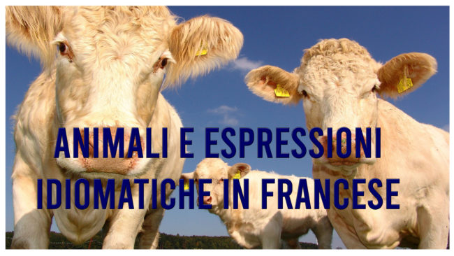 espressioni idiomatiche in francese