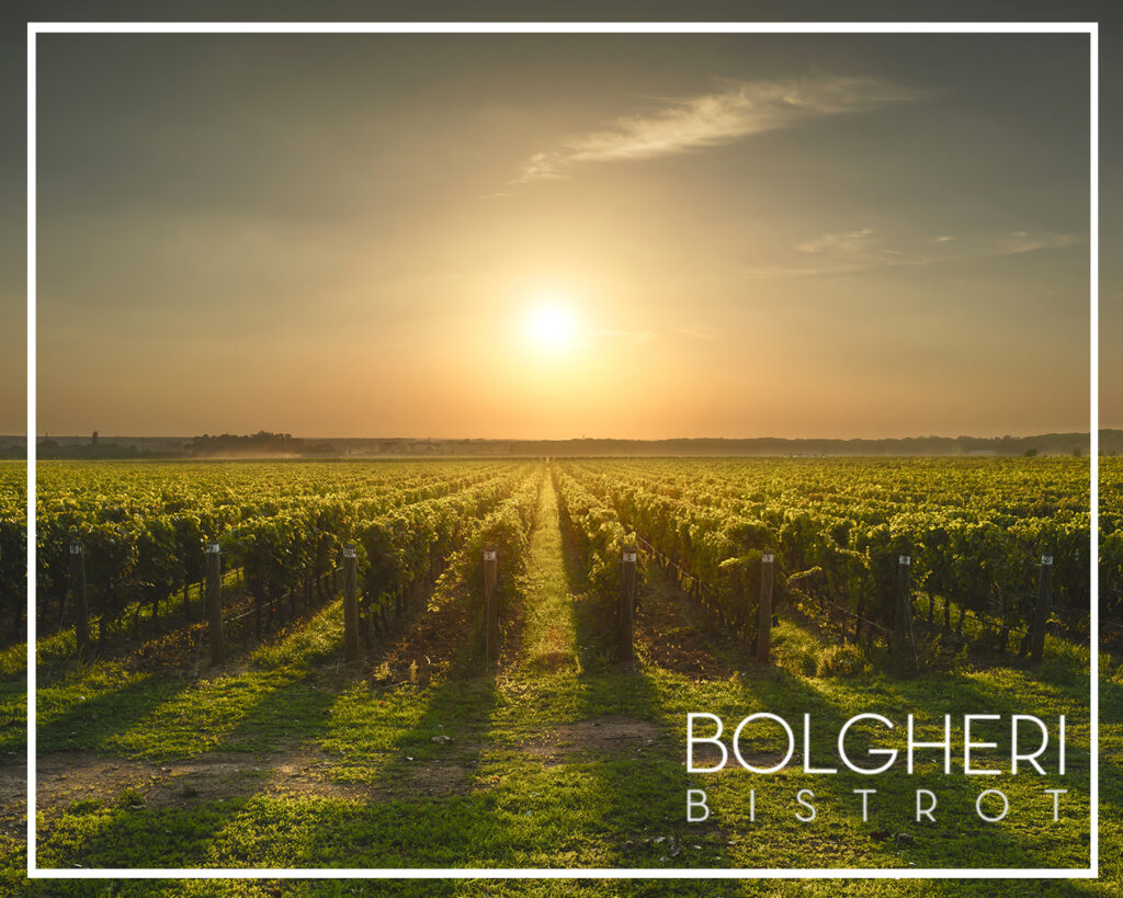 Ristorante Enoteca a Bolgheri Bolgheri Bistrot