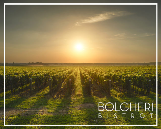 Ristorante Enoteca a Bolgheri Bolgheri Bistrot