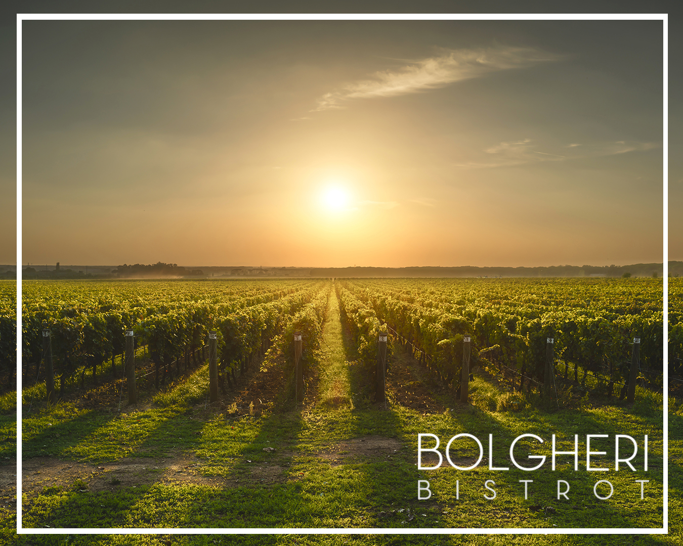 Ristorante Enoteca a Bolgheri Bolgheri Bistrot